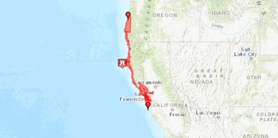 Gempa Besar California Memicu Peringatan Tsunami Di San Francisco Bay Area Pembaruan