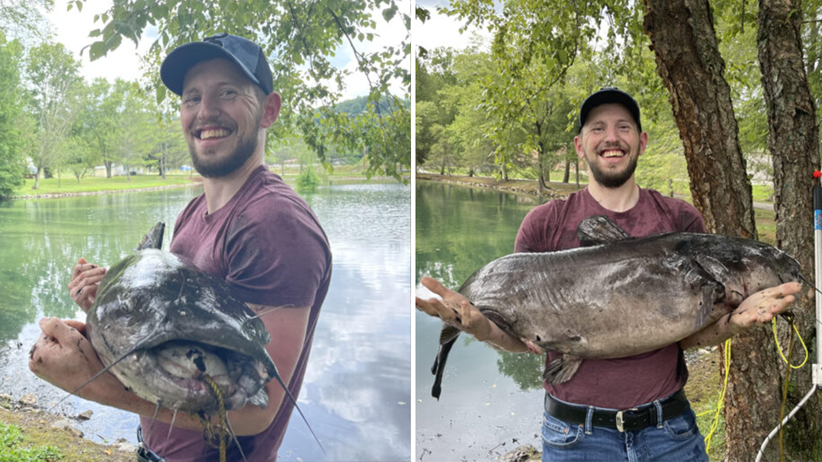 Rekor ikan lele saluran West Virginia