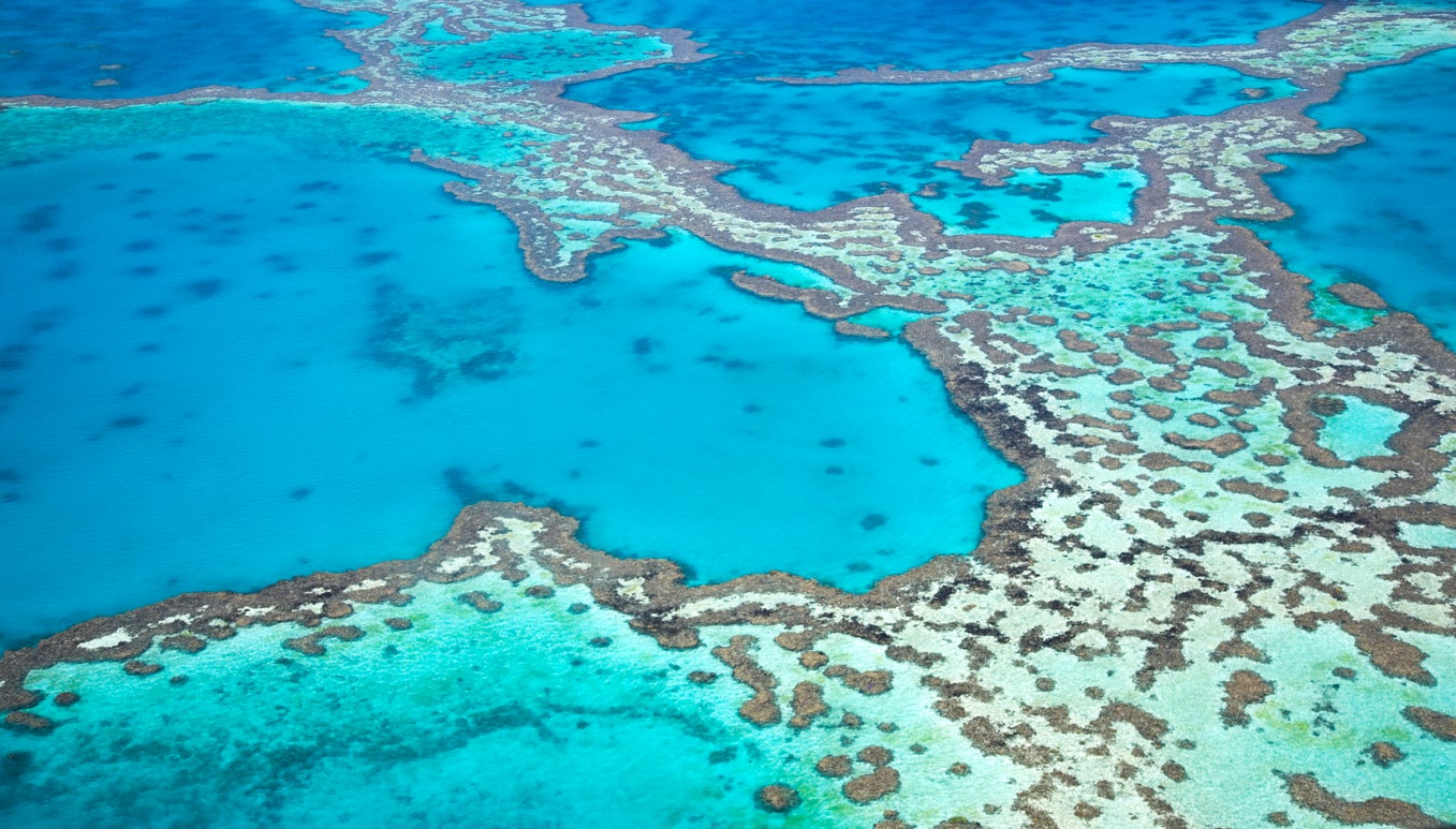 Great Barrier Reef Australia adalah sistem terumbu karang terbesar di dunia