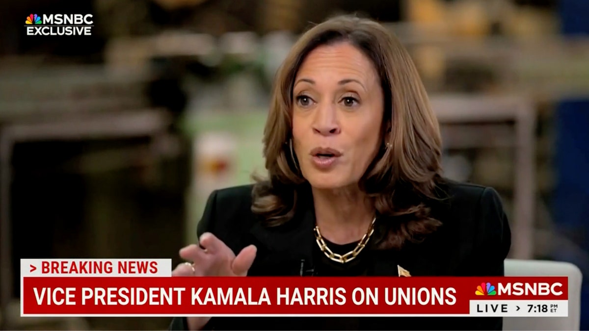 Kamala Harris di MSNBC