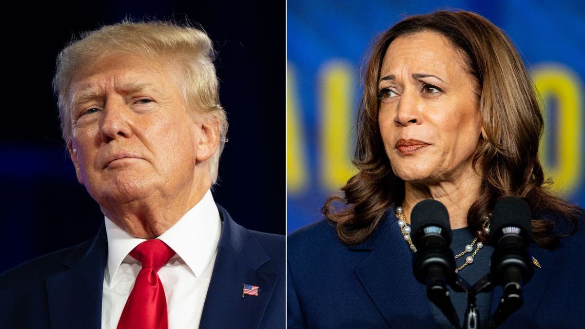 Trump juga memecah belah bersama Harris