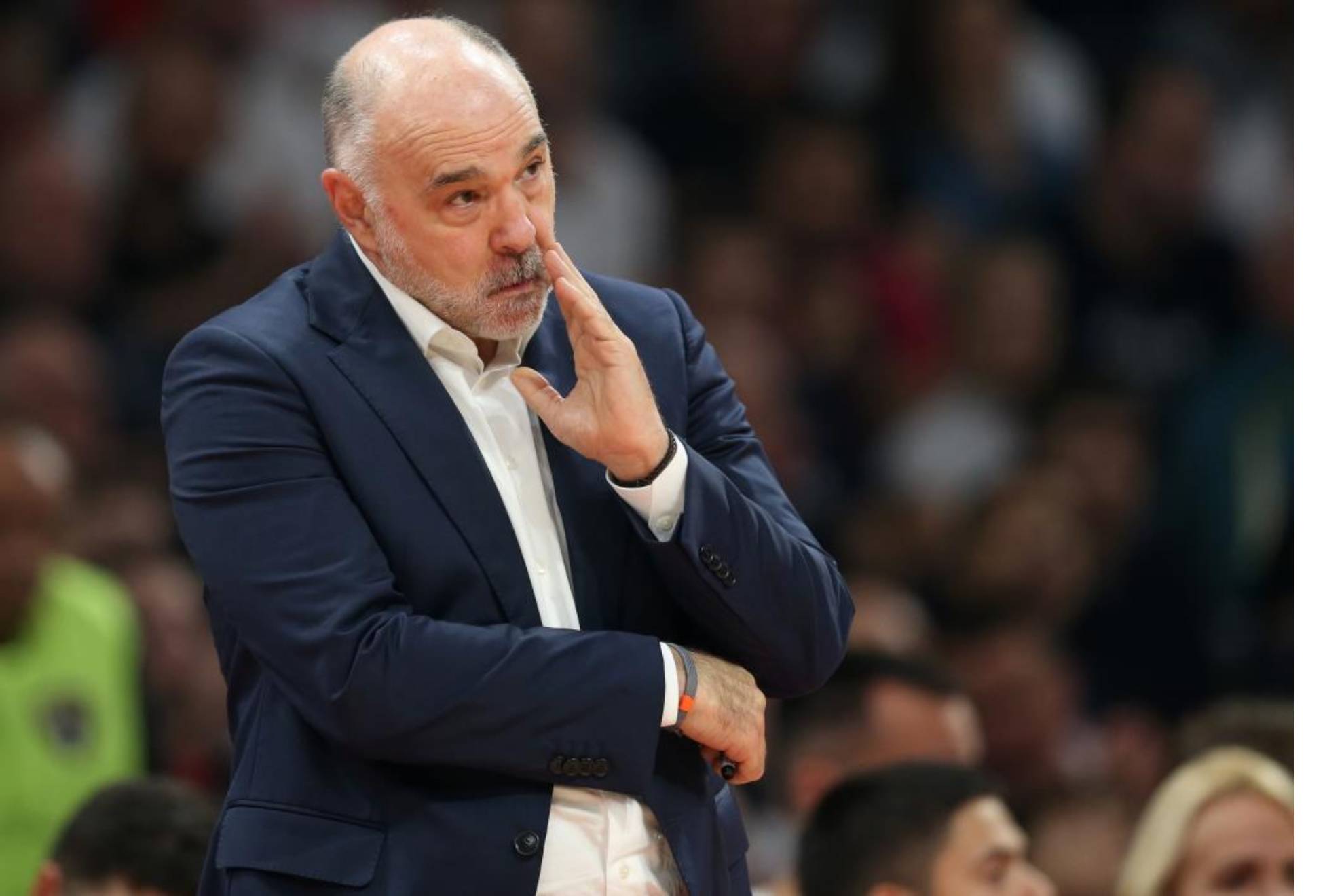 Laso, bijaksana dalam pertandingan Euroleague antara Baskonia dan Estrella Roja.