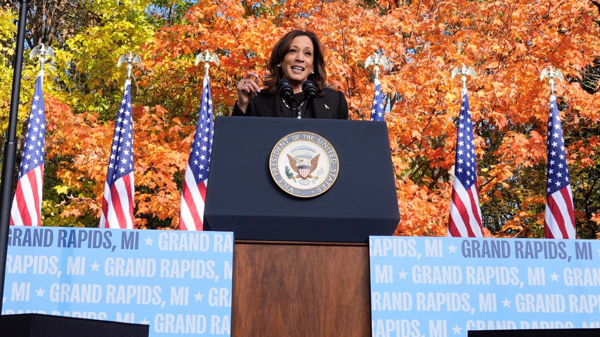 Calon presiden dari Partai Demokrat Wakil Presiden Kamala Harris berbicara selama rapat umum di Riverside Park, Jumat, 18 Oktober 2024, di Grand Rapids, Mich. (Foto AP/Jacqueline Martin)