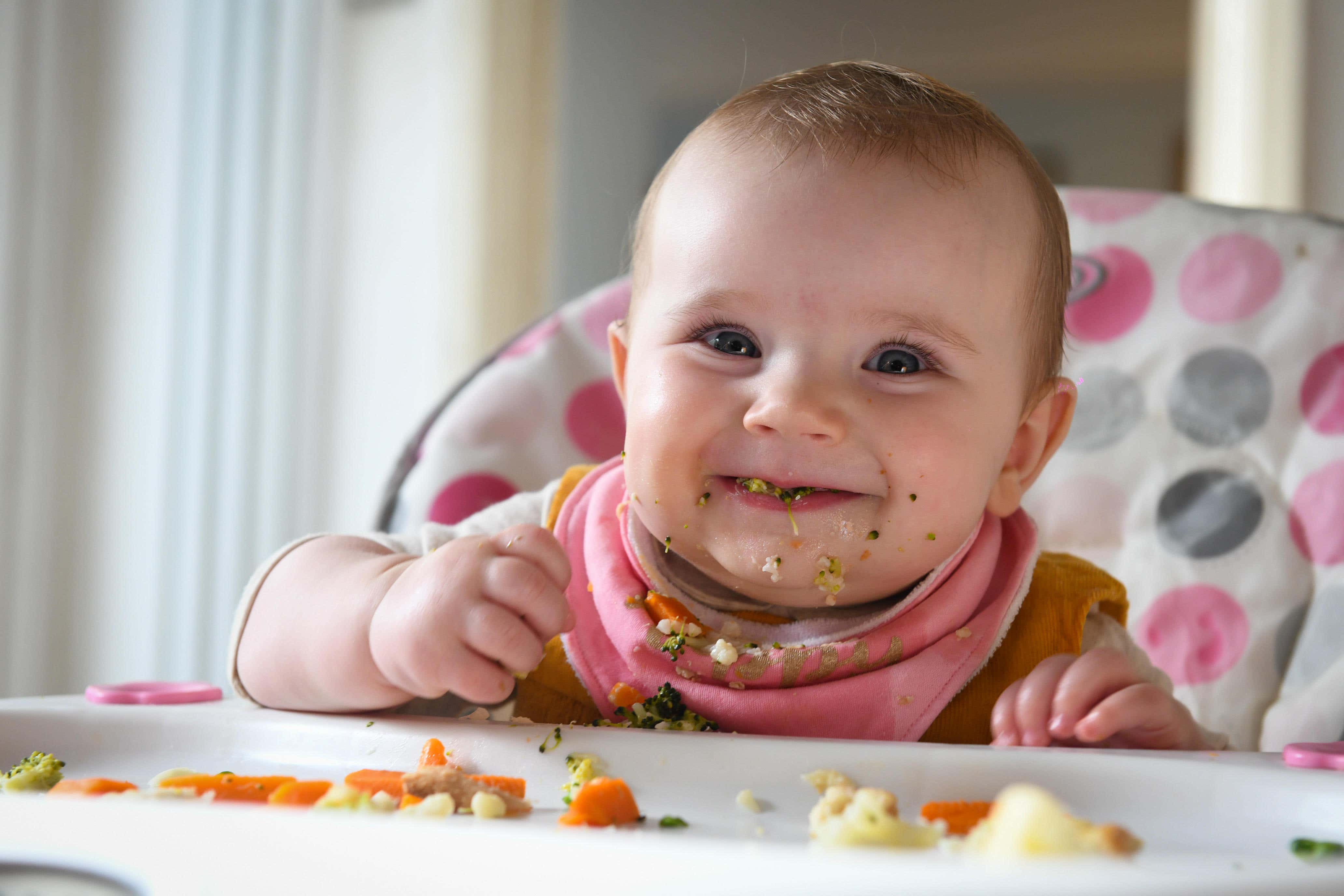 Kantong memiliki 'nilai gizi lebih sedikit' dibandingkan toples makanan bayi kemasan lainnya, menurut sebuah penelitian tahun 2019