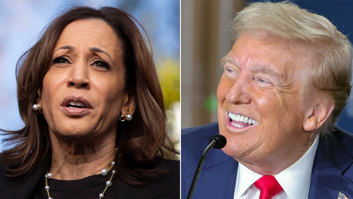 Harris Trump terpecah