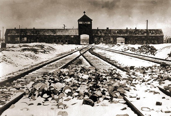 Auschwitz adalah kamp pemusnahan di Polandia yang digunakan Nazi untuk membunuh lebih dari 1,1 juta orang Yahudi.