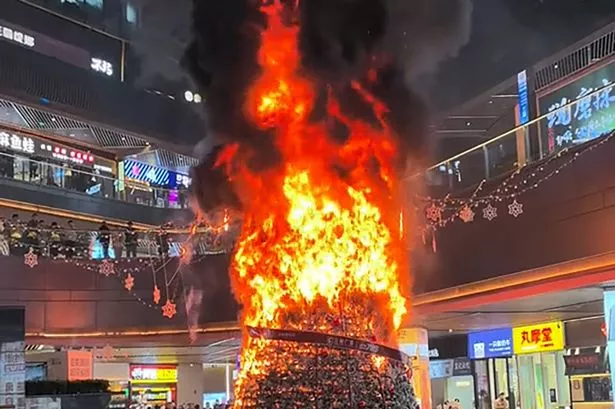 Momen mengejutkan ketika pohon Natal setinggi 30 kaki terbakar setelah terjadi kesalahan krusial Momen mengejutkan ketika pohon Natal setinggi 30 kaki terbakar setelah terjadi kesalahan krusial