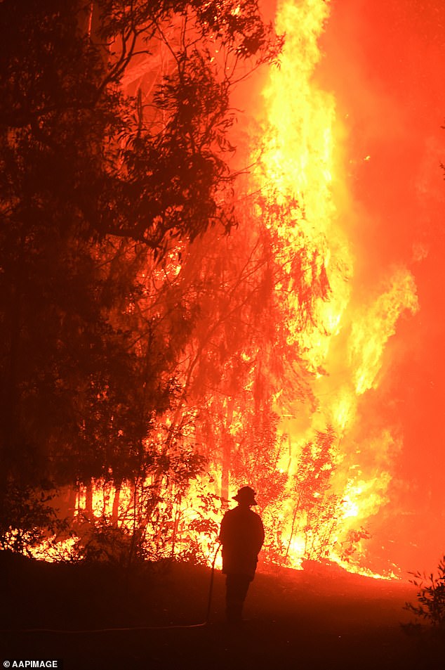 Peringatan ini muncul lima tahun setelah kebakaran hutan Black Summer yang menghancurkan seluruh Australia.