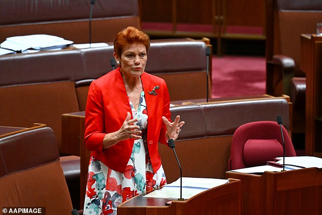 Partai One Nation yang dipimpin Pauline Hanson menyembunyikan Mihailuk mengenai pendanaan administratif, katanya