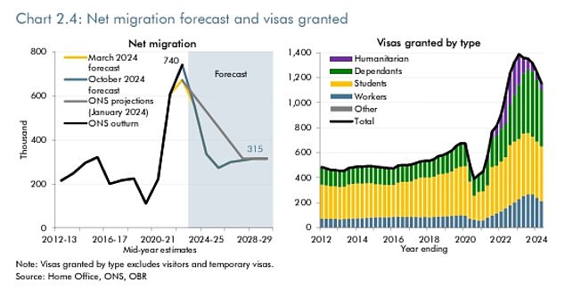 Penilaian OBR yang diterbitkan bulan lalu menunjukkan data visa Home Office menunjukkan penurunan 'tajam' pada kuartal kedua tahun 2024.