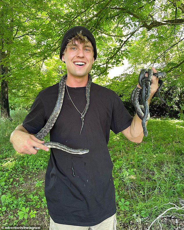 Orin mengalami 'pemulihan yang lambat namun stabil' di rumah sakit, di mana dia telah menerima '50 botol antivenom, cairan yang tak terhitung jumlahnya, obat-obatan, perawatan dan prosedur'. (Gambar: Orin pada tahun 2022)