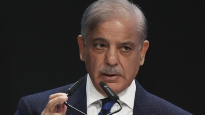 Perdana Menteri Shehbaz Sharif menolak sanksi AS terhadap program rudal Pakistan