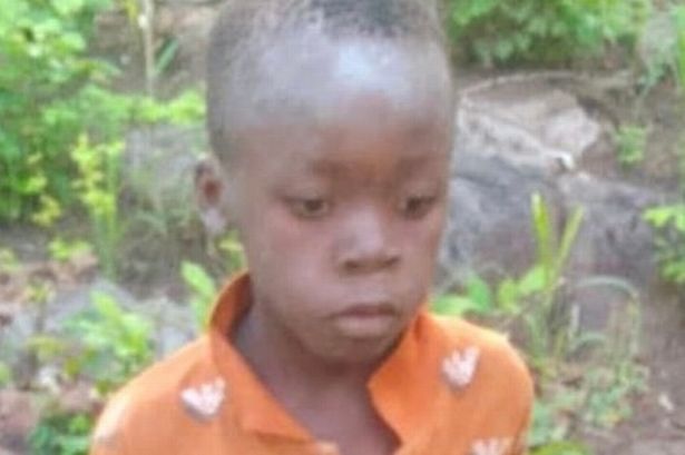 Bocah 8 tahun bertahan lima hari di taman bermain yang dipenuhi singa berkat ‘keterampilan liar’ Bocah 8 tahun bertahan lima hari di taman bermain yang dipenuhi singa berkat ‘keterampilan liar’