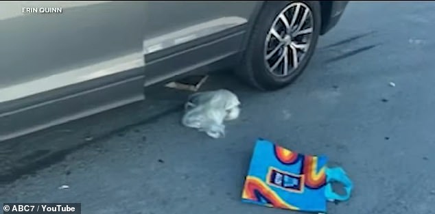 Dia mengklaim wanita itu menyamar dengan wig pirang