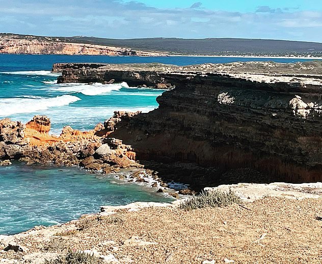 Peselancar berpengalaman, berusia akhir 20-an, diserang oleh hiu di Pantai Granites di Semenanjung Eyre, Australia Selatan, tepat setelah jam 7 malam pada hari Kamis (foto)