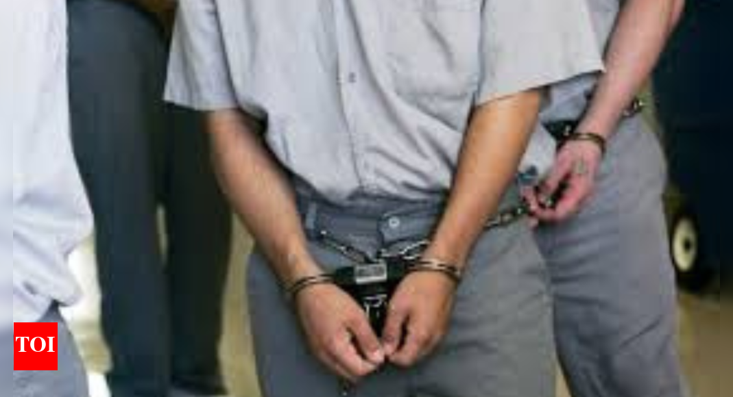 Pria New Jersey mengaku bersalah atas pembunuhan: Pria New Jersey mengaku bersalah atas pembunuhan, mutilasi dua wanita: menghadapi hukuman 40 tahun penjara Pria New Jersey mengaku bersalah atas pembunuhan: Pria New Jersey mengaku bersalah atas pembunuhan, mutilasi dua wanita: menghadapi hukuman 40 tahun penjara