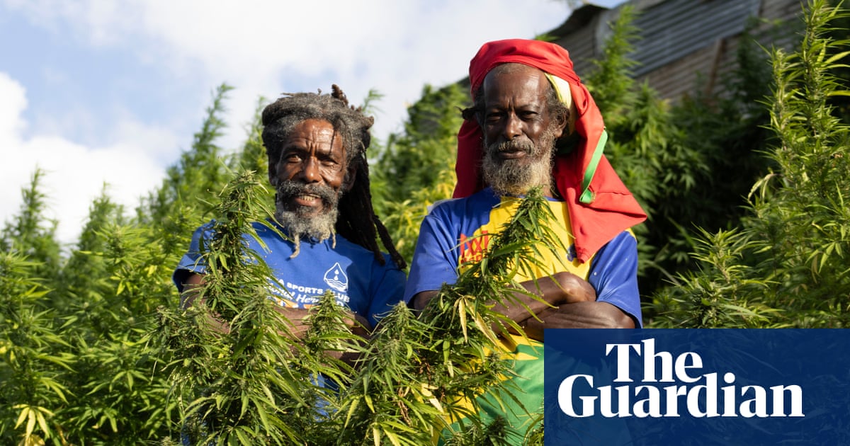 Rastafarian membuka perkebunan ganja di Karibia untuk membangun industri medis yang berkembang | Saint Vincent dan Grenadines Rastafarian membuka perkebunan ganja di Karibia untuk membangun industri medis yang berkembang | Saint Vincent dan Grenadines