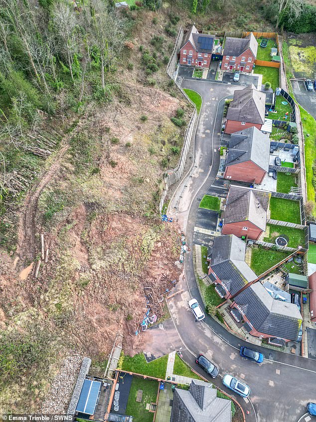 Pemilik tanah, Dunedin Haden Cross, mengatakan masalah tersebut pertama kali dilaporkan kepada mereka pada Maret 2024. Mereka meminta maaf kepada warga atas gangguan yang terjadi, yang menurut mereka bukan kesalahan mereka