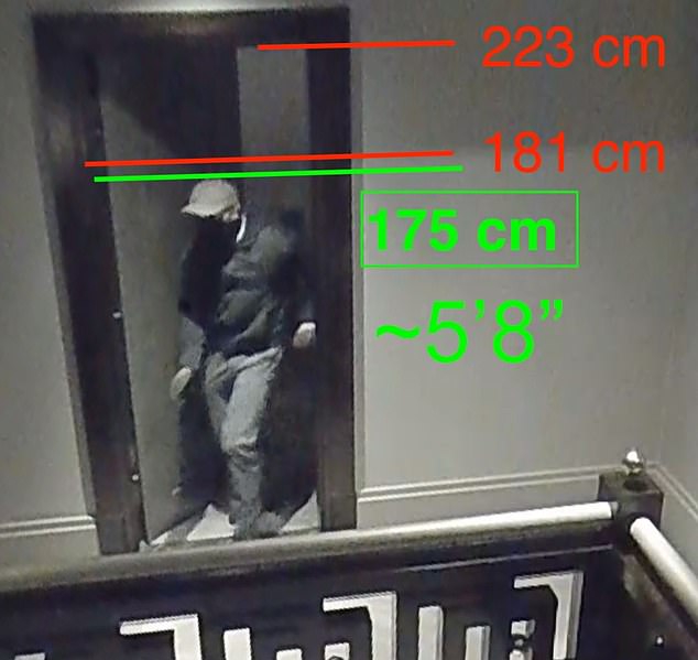 Gambar CCTV yang diberikan kepada MailOnline menunjukkan pria tersebut memasuki rumah dengan mengenakan pakaian berwarna gelap dan mengenakan masker.