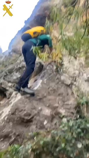 Gardai telah merilis rekaman video upaya pencarian untuk menemukan Civil Jai