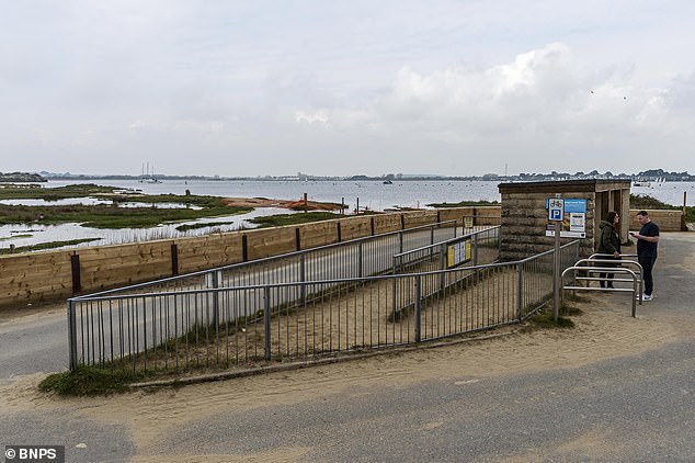 Mobil dilarang di pantai berpasir yang terisolasi dan hanya dapat dicapai dengan berjalan kaki 20 menit, kereta darat baru, atau perjalanan feri singkat melintasi Pelabuhan Christchurch.