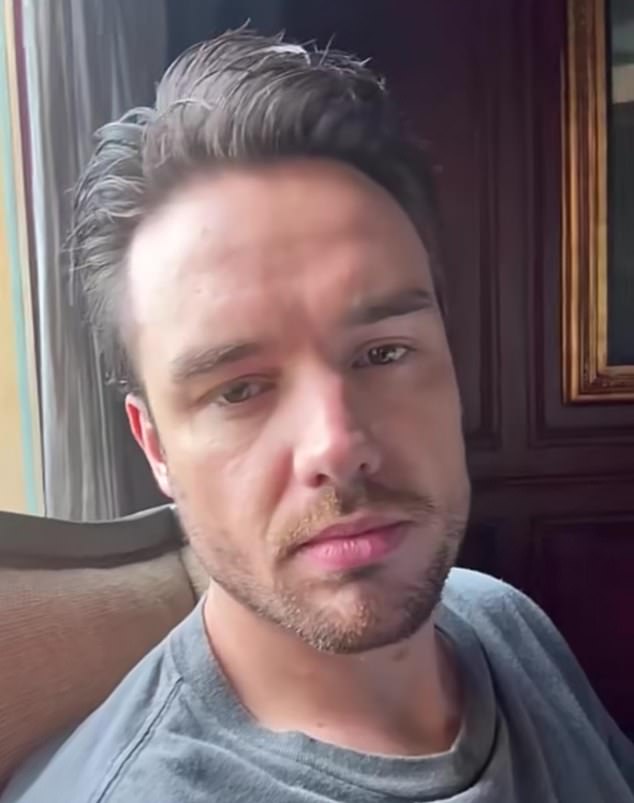 Postingan terakhir Liam Payne di Snapchat sebelum dia terjatuh hingga tewas dari lantai tiga sebuah hotel di Buenos Aires