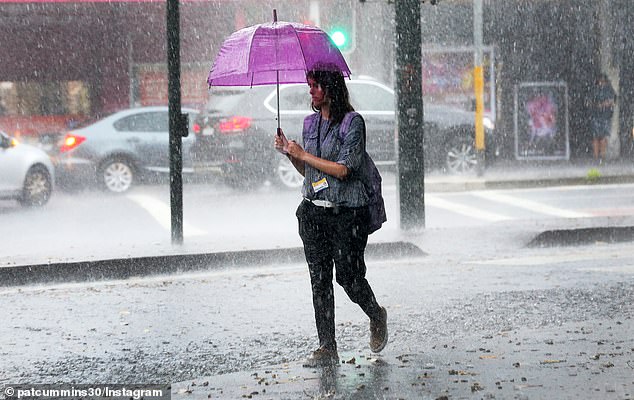 Akhir pekan yang hujan juga diperkirakan terjadi di Brisbane, dengan badai petir diperkirakan akan terjadi pada hari Jumat nanti dan matahari baru muncul kembali pada hari Senin (foto, hujan lebat di Sydney)