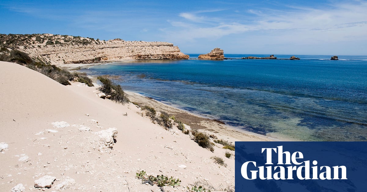 Seorang peselancar hilang di lepas pantai barat Australia Selatan yang diyakini menjadi korban serangan hiu Australia Selatan Seorang peselancar hilang di lepas pantai barat Australia Selatan yang diyakini menjadi korban serangan hiu Australia Selatan