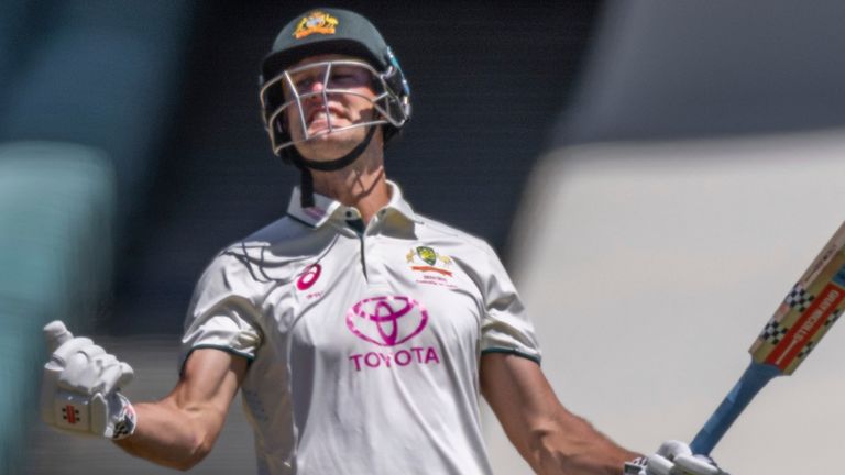 Beau Webster dari Australia merayakan kemenangan seri melawan India di Sydney (Associated Press)