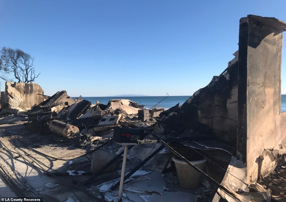 Keluarga Segel memiliki properti tepi laut di Malibu selama 50 tahun sebelum musnah akibat kebakaran Palisades.