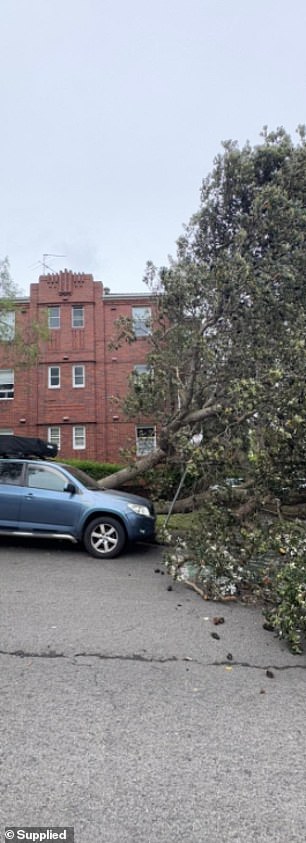 Cuaca Sydney, Melbourne, Brisbane: Jutaan warga Australia yang lelah menghadapi hujan bersiap menghadapi cuaca yang lebih liar akhir pekan ini – namun kabar baik bagi penggemar tenis