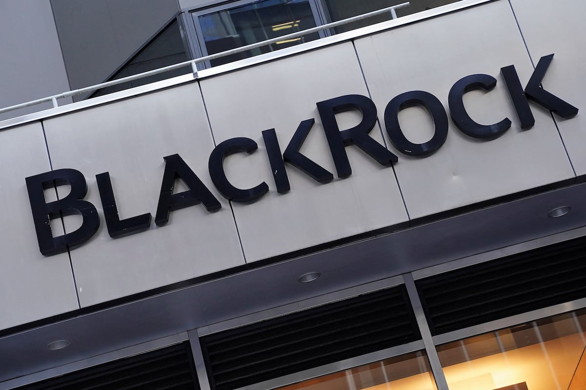 BlackRock Menutup Tahun 2024 Dengan Rekor Aliran Dana Bersih | Pasar keuangan BlackRock Menutup Tahun 2024 Dengan Rekor Aliran Dana Bersih | Pasar keuangan