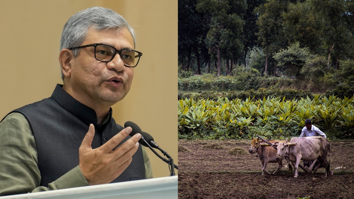 Sebagai hadiah Tahun Baru kepada petani, Rs 3,850 crore telah disetujui untuk pengadaan pupuk DAP