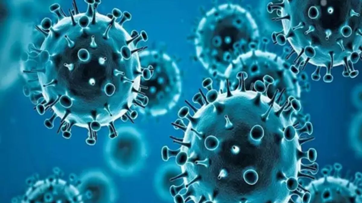 Virus baru seperti Corona telah menyebar di Tiongkok dan pemerintah Telangana telah mengeluarkan peringatan, memberi tahu apa yang harus dilakukan dan apa yang tidak boleh dilakukan Virus baru seperti Corona telah menyebar di Tiongkok dan pemerintah Telangana telah mengeluarkan peringatan, memberi tahu apa yang harus dilakukan dan apa yang tidak boleh dilakukan
