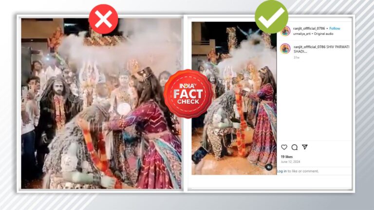 Cek Fakta: Aghori Sadhu Tak Menikah di Mahakumbh, Video Menyesatkan Menjadi Viral