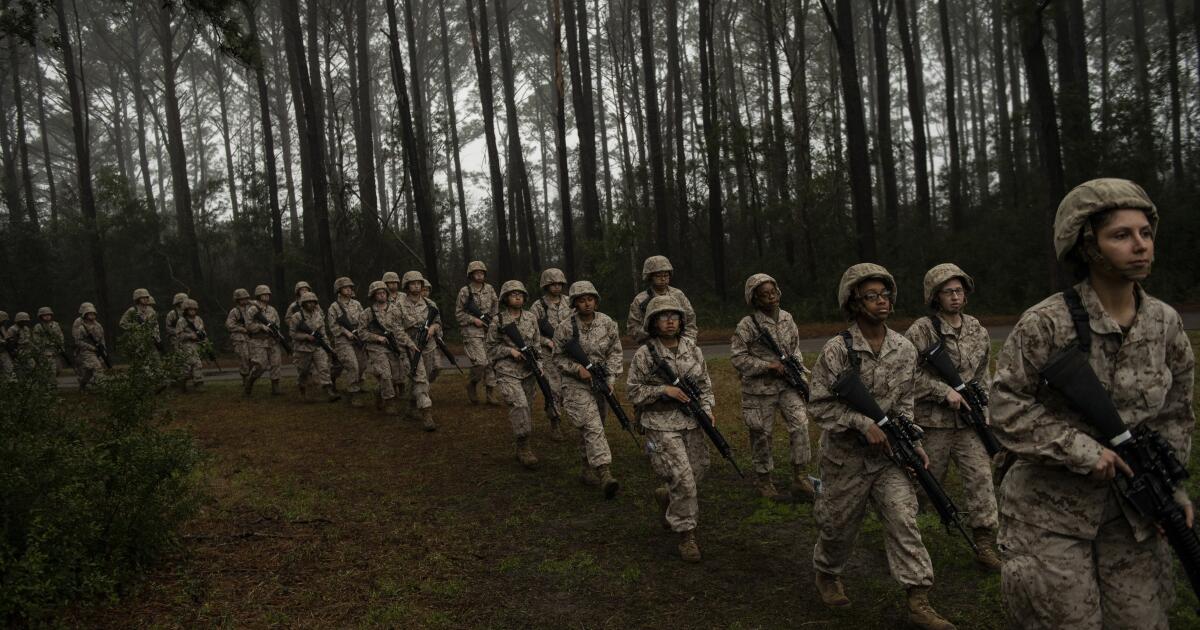 Opini: Perempuan seperti saya sulit melihat diri mereka sendiri sebagai veteran. Karena? Opini: Perempuan seperti saya sulit melihat diri mereka sendiri sebagai veteran. Karena?