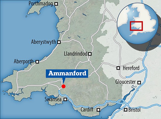 Insiden itu terjadi di Amman Valley School di Ammanford, Cararmthenshire