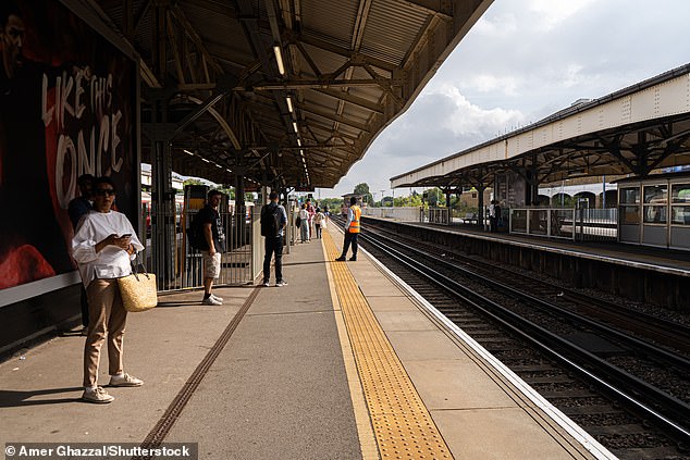 Heathorn menyerang dua petugas di stasiun Wimbledon (gambar stok), memanggil salah satu dari mereka 'p *** c ***'